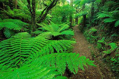 PS2经典复刻《浪漫沙加：吟游诗人之歌》上市